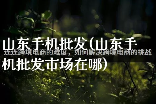 山东手机批发(山东手机批发市场在哪)_https://www.rzcpcj.com_代运营_第1张