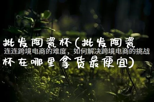 批发陶瓷杯(批发陶瓷杯在哪里拿货最便宜)_https://www.rzcpcj.com_抖音快手_第1张