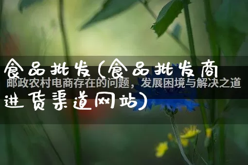 食品批发(食品批发商进货渠道网站)_https://www.rzcpcj.com_淘宝运营_第1张