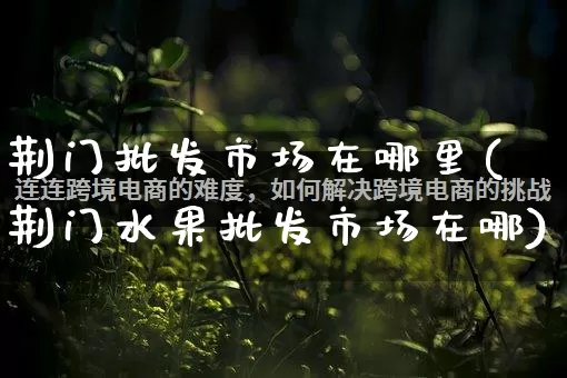 荆门批发市场在哪里(荆门水果批发市场在哪)_https://www.rzcpcj.com_开网店_第1张