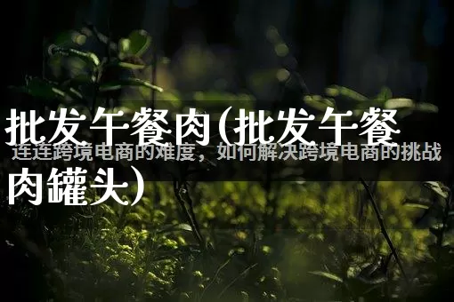 批发午餐肉(批发午餐肉罐头)_https://www.rzcpcj.com_直通车_第1张