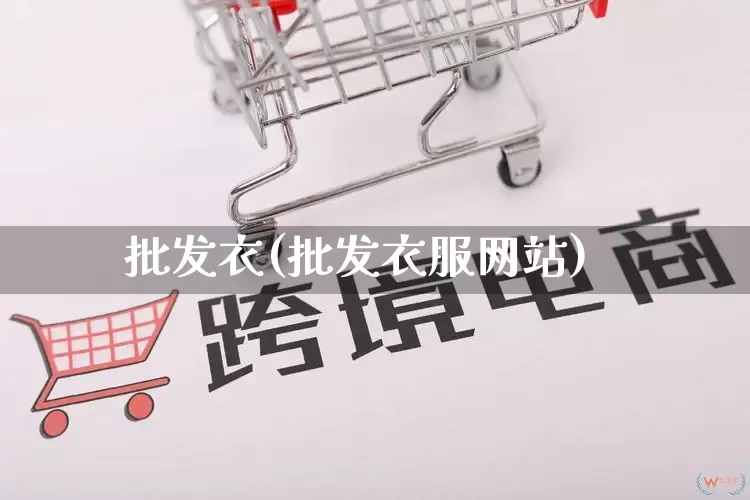 批发衣(批发衣服网站)_https://www.rzcpcj.com_代运营_第1张