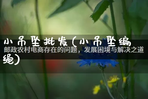小吊坠批发(小吊坠编绳)_https://www.rzcpcj.com_代运营_第1张
