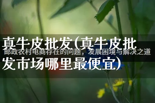 真牛皮批发(真牛皮批发市场哪里最便宜)_https://www.rzcpcj.com_抖音快手_第1张