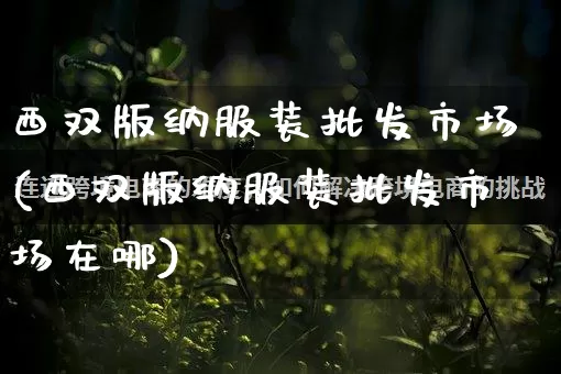 西双版纳服装批发市场(西双版纳服装批发市场在哪)_https://www.rzcpcj.com_抖音快手_第1张