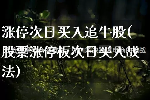 涨停次日买入追牛股(股票涨停板次日买入战法)_天猫运营_第1张_电商运营网 涨停次日买入追牛股(股票涨停板次日买入战法)_https://www.rzcpcj.com_天猫运营_第1张
