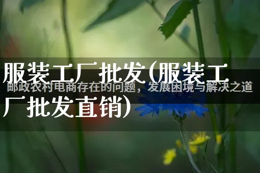 服装工厂批发(服装工厂批发直销)_https://www.rzcpcj.com_抖音快手_第1张