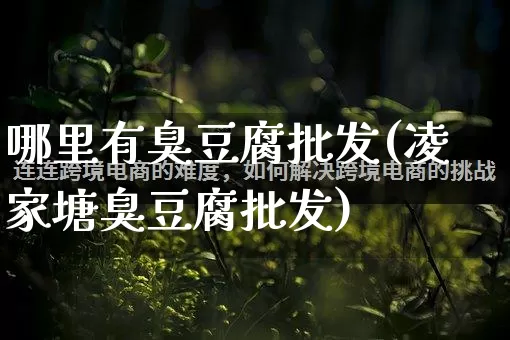 哪里有臭豆腐批发(凌家塘臭豆腐批发)_https://www.rzcpcj.com_直通车_第1张