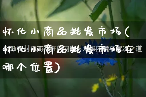 怀化小商品批发市场(怀化小商品批发市场在哪个位置)_https://www.rzcpcj.com_淘宝运营_第1张