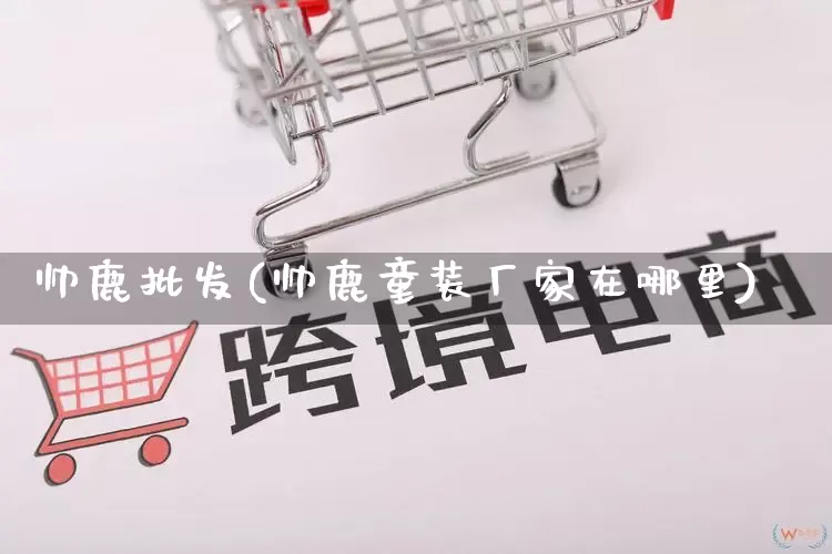 帅鹿批发(帅鹿童装厂家在哪里)_https://www.rzcpcj.com_淘宝运营_第1张