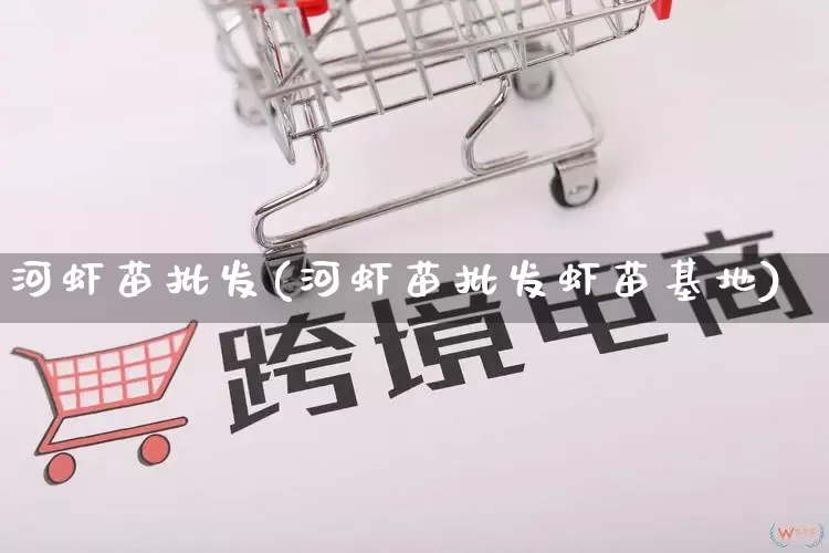 河虾苗批发(河虾苗批发虾苗基地)_https://www.rzcpcj.com_代运营_第1张