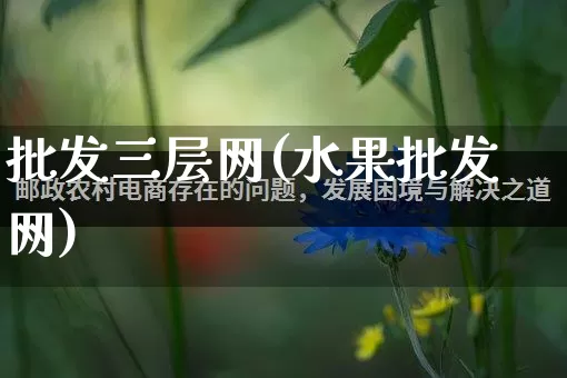 批发三层网(水果批发网)_https://www.rzcpcj.com_抖音快手_第1张