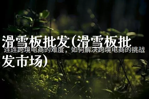滑雪板批发(滑雪板批发市场)_https://www.rzcpcj.com_天猫运营_第1张