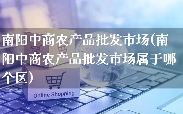 南阳中商农产品批发市场(南阳中商农产品批发市场属于哪个区)_https://www.rzcpcj.com_淘宝运营_第1张