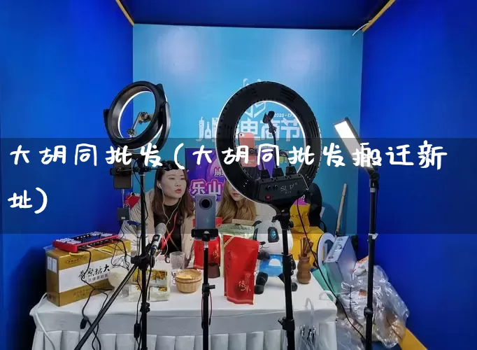 大胡同批发(大胡同批发搬迁新址)_https://www.rzcpcj.com_淘宝运营_第1张