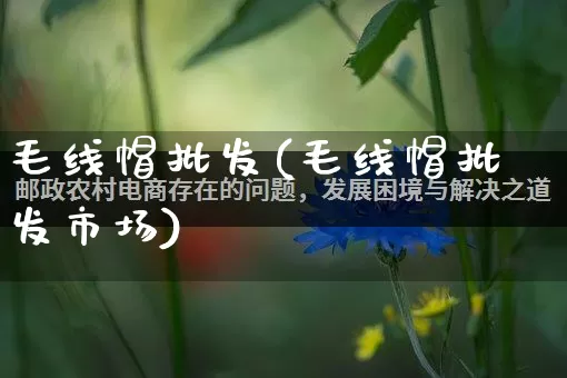 毛线帽批发(毛线帽批发市场)_https://www.rzcpcj.com_抖音快手_第1张