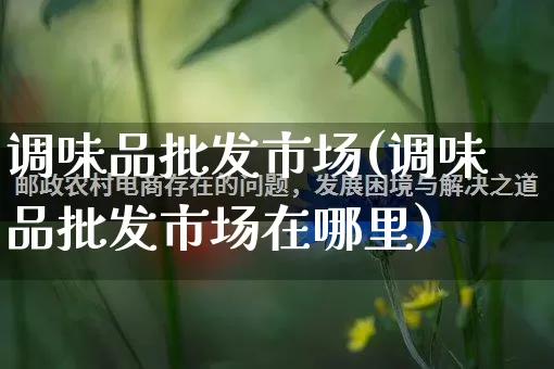 调味品批发市场(调味品批发市场在哪里)_https://www.rzcpcj.com_代运营_第1张