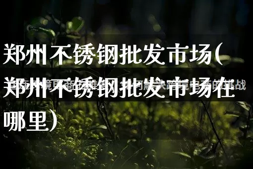 郑州不锈钢批发市场(郑州不锈钢批发市场在哪里)_https://www.rzcpcj.com_天猫运营_第1张