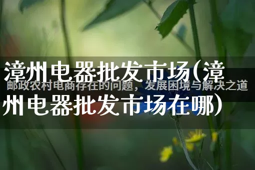 漳州电器批发市场(漳州电器批发市场在哪)_https://www.rzcpcj.com_抖音快手_第1张