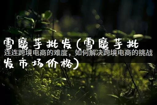 雪魔芋批发(雪魔芋批发市场价格)_https://www.rzcpcj.com_代运营_第1张