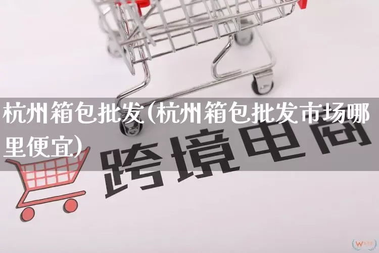 杭州箱包批发(杭州箱包批发市场哪里便宜)_https://www.rzcpcj.com_抖音快手_第1张