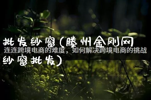 批发纱窗(滕州金刚网纱窗批发)_https://www.rzcpcj.com_天猫运营_第1张