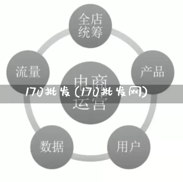 170批发(170批发网)_https://www.rzcpcj.com_淘宝运营_第1张