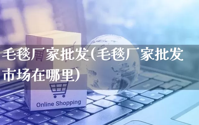 毛毯厂家批发(毛毯厂家批发市场在哪里)_https://www.rzcpcj.com_代运营_第1张