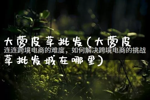 大营皮草批发(大营皮草批发城在哪里)_https://www.rzcpcj.com_代运营_第1张