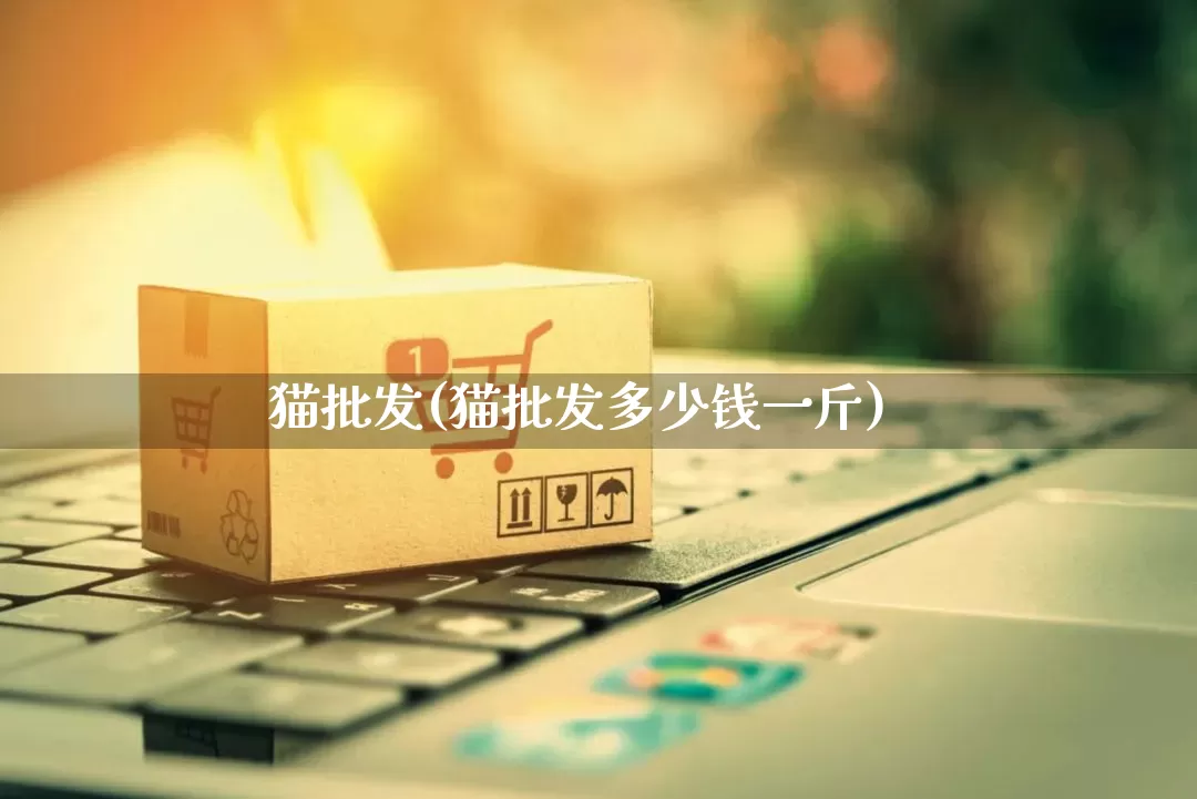 猫批发(猫批发多少钱一斤)_https://www.rzcpcj.com_代运营_第1张