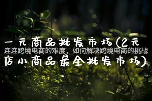 一元商品批发市场(2元店小商品最全批发市场)_https://www.rzcpcj.com_抖音快手_第1张