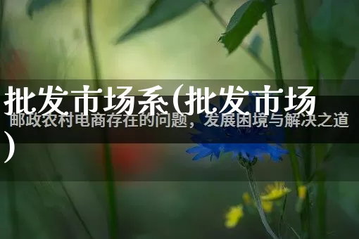 批发市场系(批发市场)_https://www.rzcpcj.com_直通车_第1张