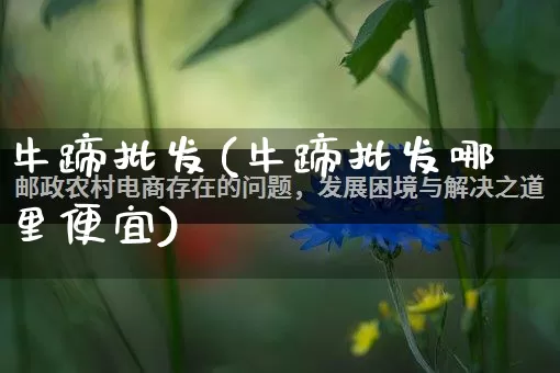 牛蹄批发(牛蹄批发哪里便宜)_https://www.rzcpcj.com_代运营_第1张