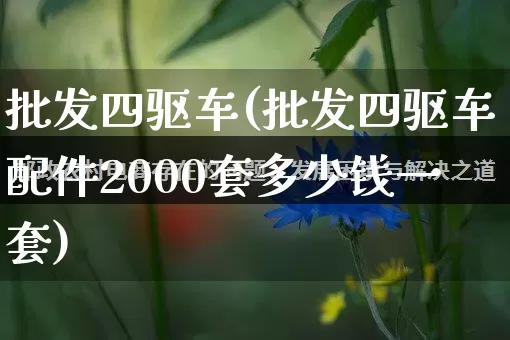批发四驱车(批发四驱车配件2000套多少钱一套)_https://www.rzcpcj.com_抖音快手_第1张