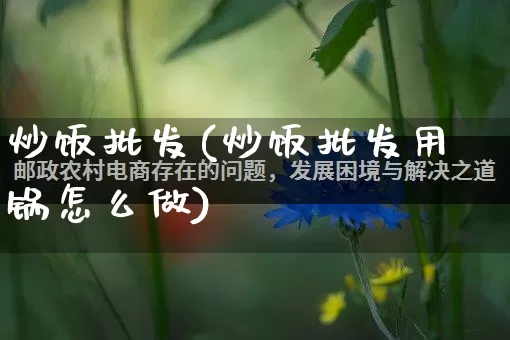 炒饭批发(炒饭批发用锅怎么做)_https://www.rzcpcj.com_直通车_第1张