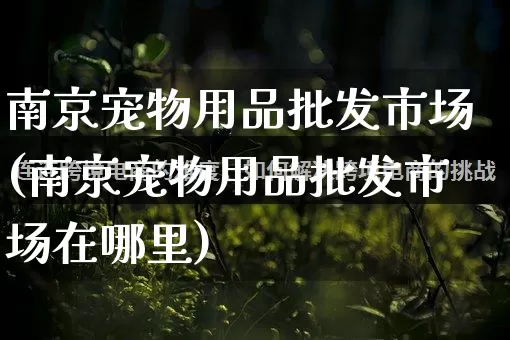 南京宠物用品批发市场(南京宠物用品批发市场在哪里)_https://www.rzcpcj.com_代运营_第1张