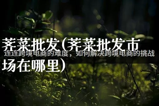 荠菜批发(荠菜批发市场在哪里)_https://www.rzcpcj.com_开网店_第1张