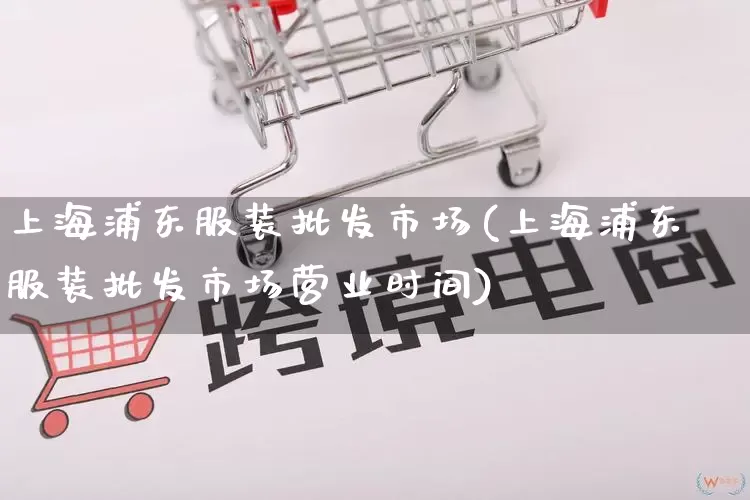 上海浦东服装批发市场(上海浦东服装批发市场营业时间)_https://www.rzcpcj.com_抖音快手_第1张