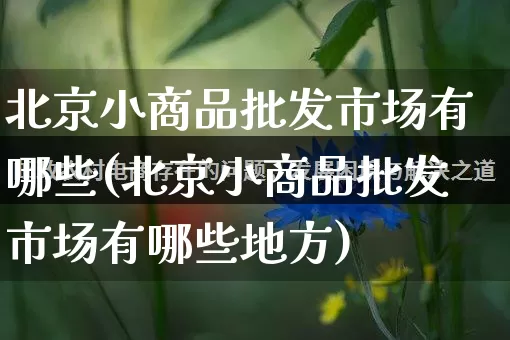 北京小商品批发市场有哪些(北京小商品批发市场有哪些地方)_https://www.rzcpcj.com_直通车_第1张