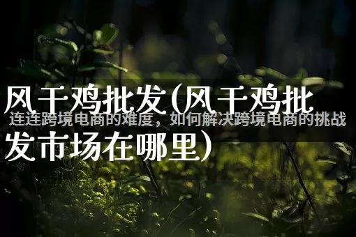 风干鸡批发(风干鸡批发市场在哪里)_https://www.rzcpcj.com_淘宝运营_第1张