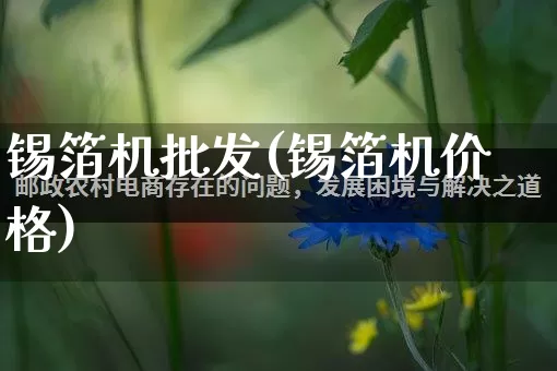 锡箔机批发(锡箔机价格)_https://www.rzcpcj.com_天猫运营_第1张