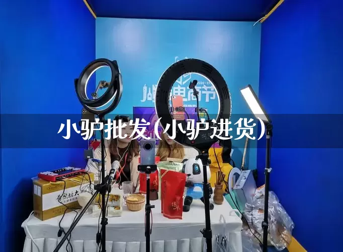 小驴批发(小驴进货)_https://www.rzcpcj.com_淘宝运营_第1张