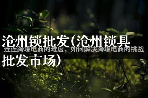 沧州锁批发(沧州锁具批发市场)_https://www.rzcpcj.com_天猫运营_第1张