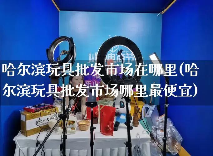 哈尔滨玩具批发市场在哪里(哈尔滨玩具批发市场哪里最便宜)_https://www.rzcpcj.com_开网店_第1张