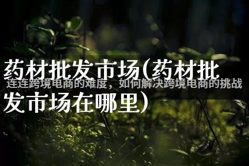 药材批发市场(药材批发市场在哪里)_https://www.rzcpcj.com_直通车_第1张