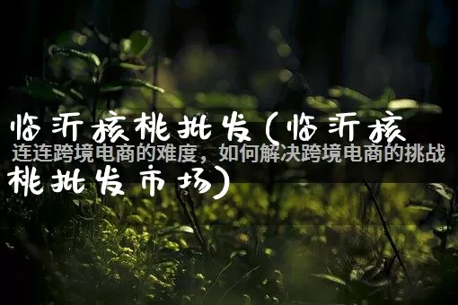 临沂核桃批发(临沂核桃批发市场)_https://www.rzcpcj.com_代运营_第1张