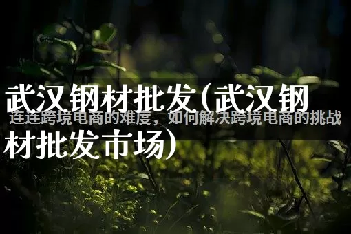 武汉钢材批发(武汉钢材批发市场)_https://www.rzcpcj.com_抖音快手_第1张