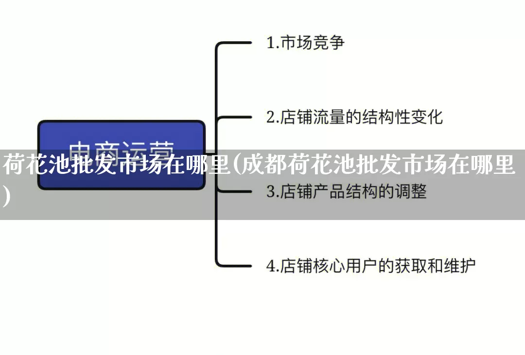 荷花池批发市场在哪里(成都荷花池批发市场在哪里)_https://www.rzcpcj.com_天猫运营_第1张