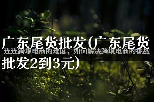 广东尾货批发(广东尾货批发2到3元)_https://www.rzcpcj.com_淘宝运营_第1张