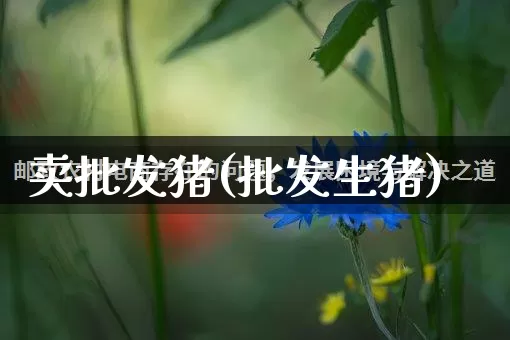 卖批发猪(批发生猪)_https://www.rzcpcj.com_直通车_第1张